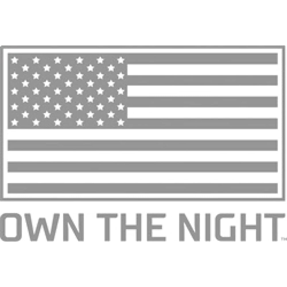 [Rigid Industries Genuine] D-Series Pro LED Light 2 sets of light emitting pattern: Spot surface mount type