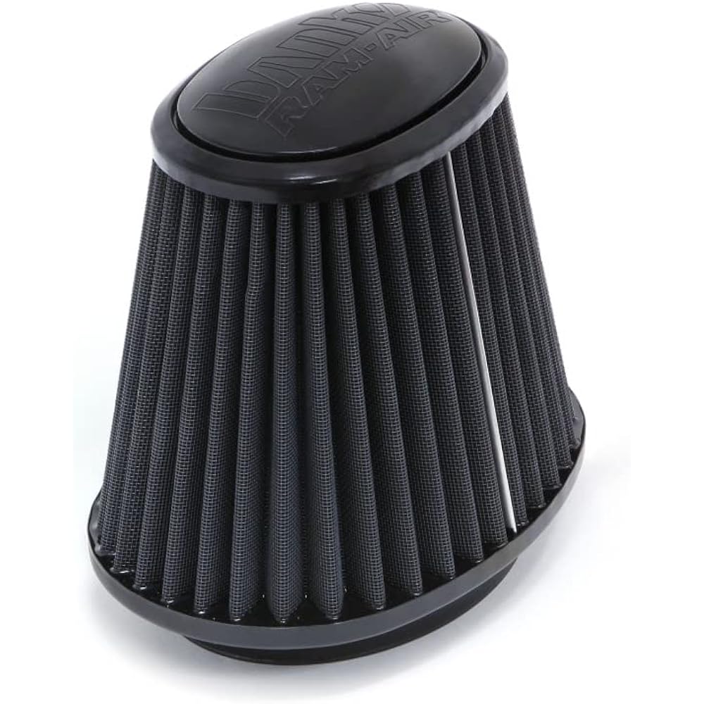 Banks 42188-D Air filter