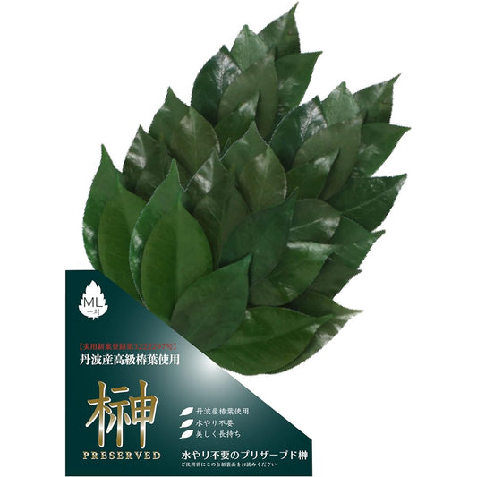 A&K Preserved Flower Sakaki Series MV Made in Japan Green Approx. 34 x 14 x 1 cm LK-012ML Pair (Set of 2)