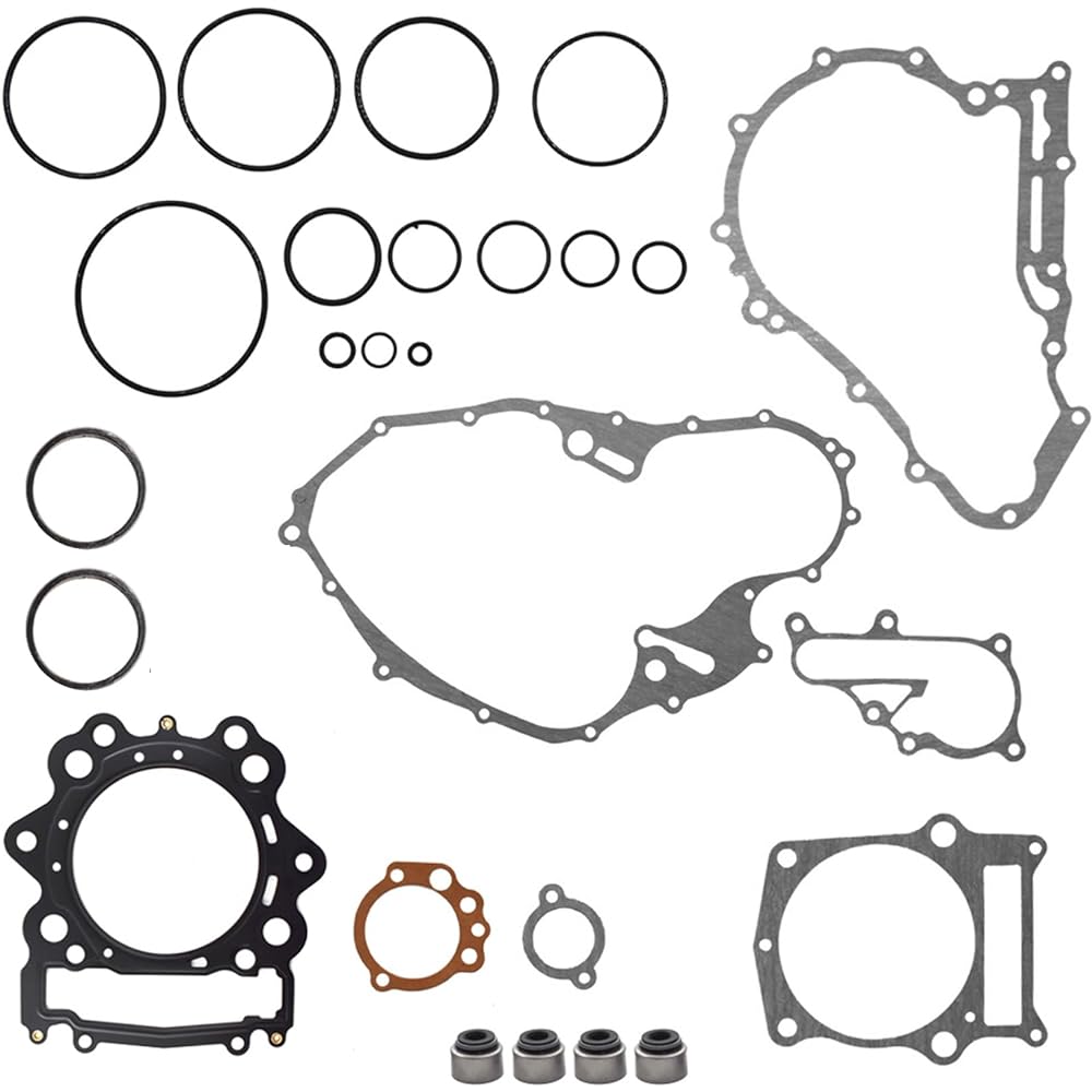 Yamaha Raptor with Lab Work Gasket Collection Valve Seal 700 2006-2014 model