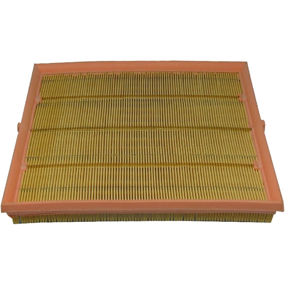 ECOGARD XA6145 Air filter