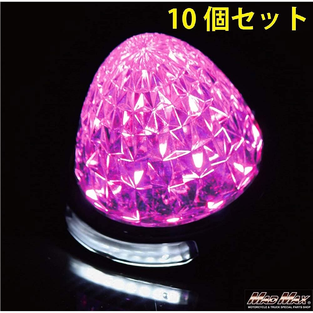 16 LED bus marker lamps for 12-24V, with 8 downlights SMD, pink, set of 10