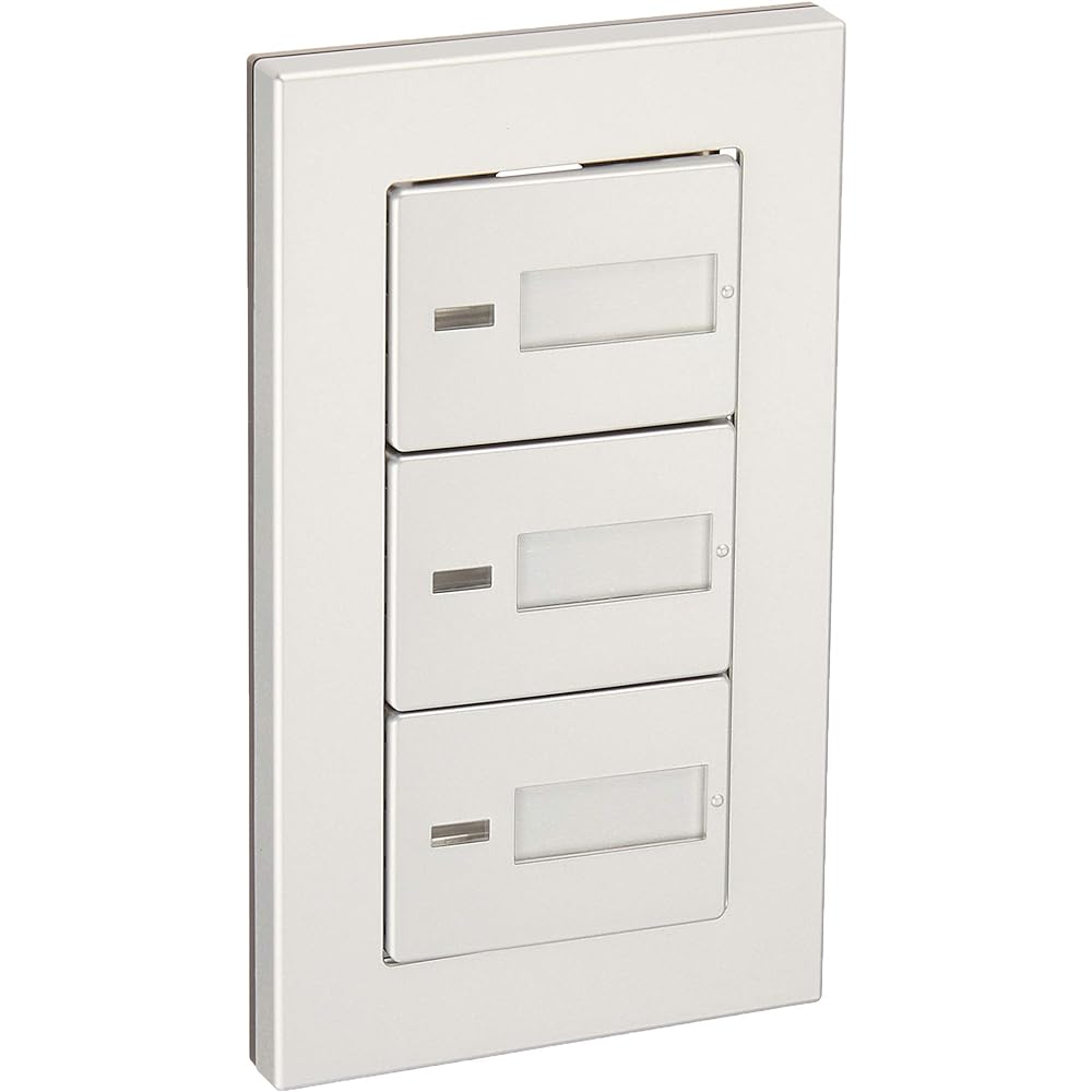 Panasonic Raffineer Embedded Firefly Triple Switch B WTP50513SP [Genuine Package Product]