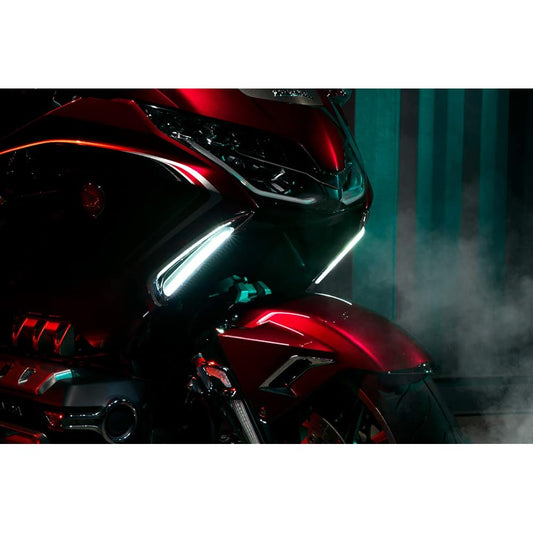 For Vent Trim Gold Wing with TWINART