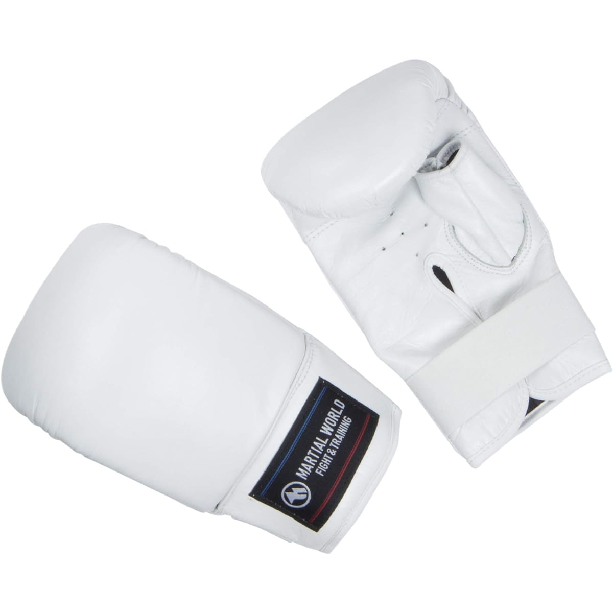 Martial World (MARTIAL WORLD) Punching Gloves 2 PGPROII