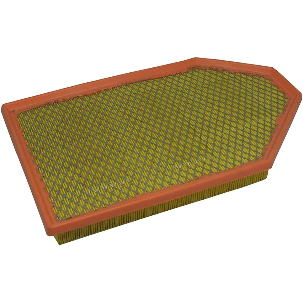 ECOGARD XA6167 Air filter