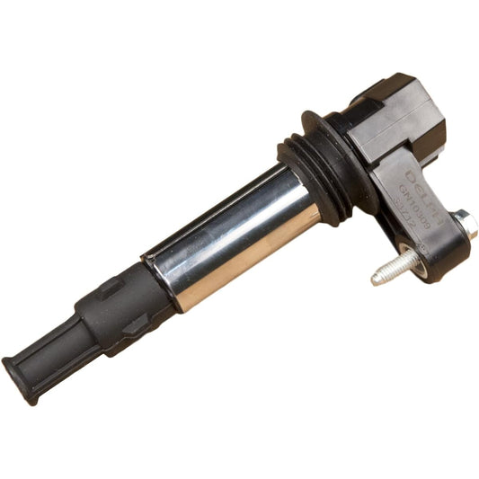 Delphi GN10309 Ignition Coil