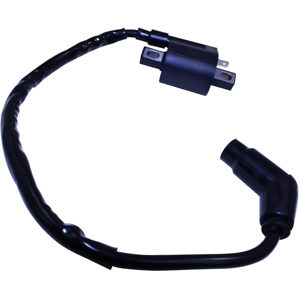 Ignition Coil Arctic CAT 250 2X4 1999 2001 2002 2003 2005 ATV