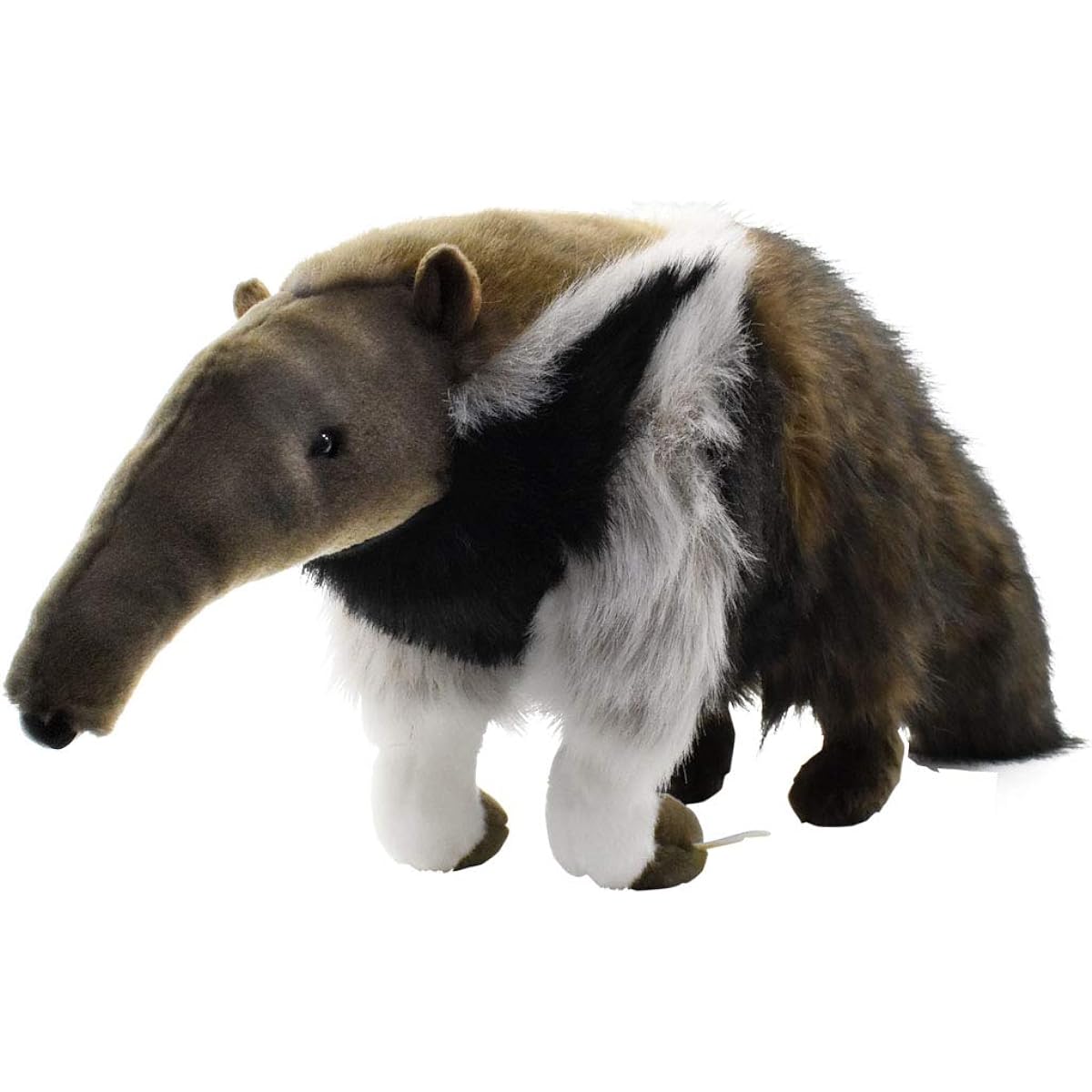 Giant anteater 7 No.3987