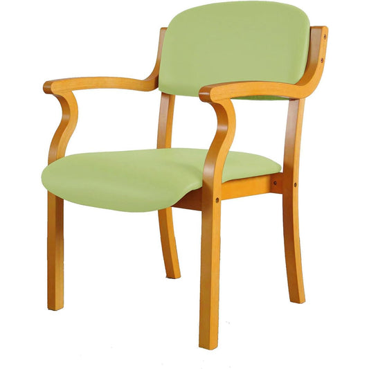 Welfare facility chair (set of 2) Salome seat: Synthetic leather green color 141109