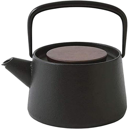 Ikenaga Tekko NEW tetu Nanbu Ironware Teapot Made in Japan Tea Ceramic 0.56L Iron Replenishment