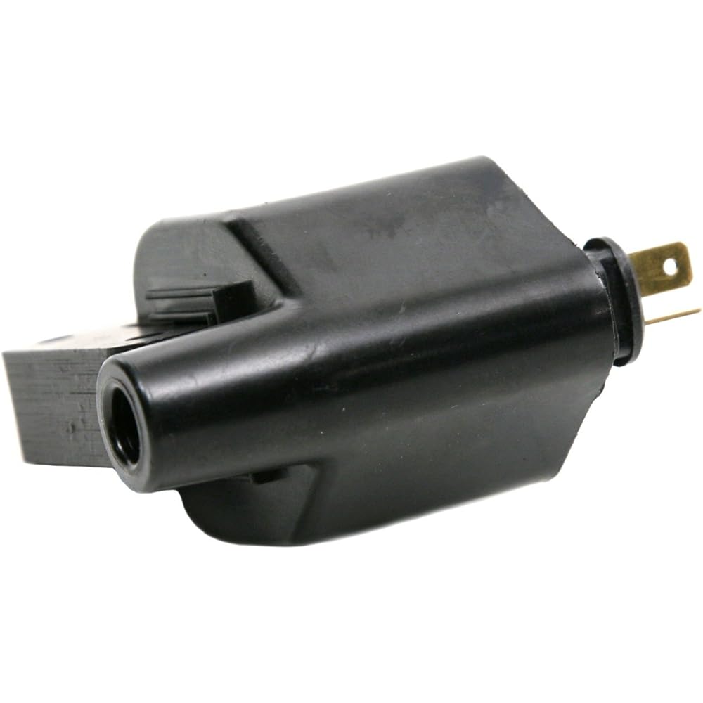 Delphi GN10170 Ignition Coil