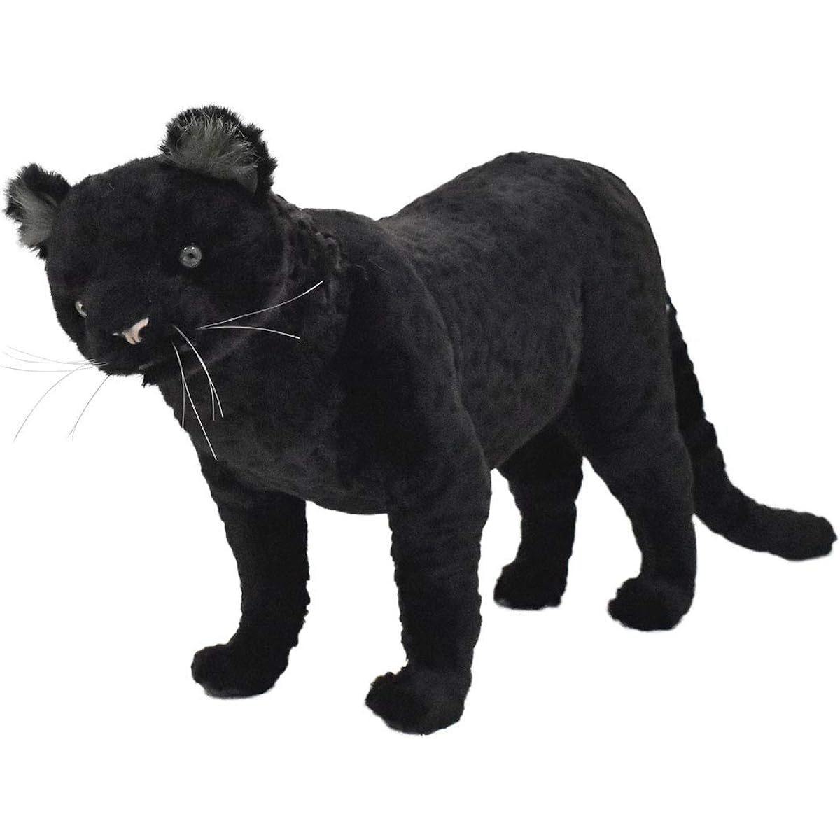 BH7006 HANSA Black Leopard 34