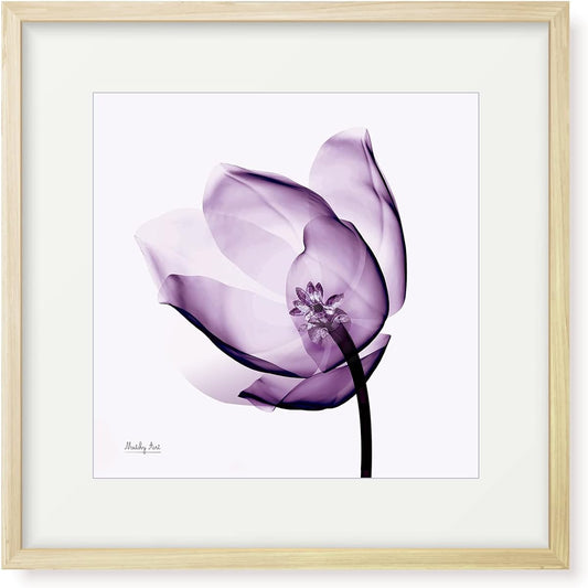 Painting "Purple Tulip" Interior Painting Flower Art Panel Framed (Height 32cm x Width 32cm)