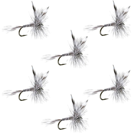 The Fly Fishing Place Mosquito Classic Trout Dry Fly Fishing Flies Set of 6 Size 14