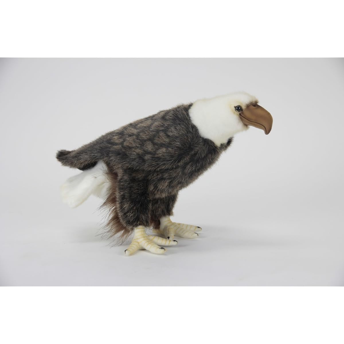 HANSA Bald Eagle No.5616