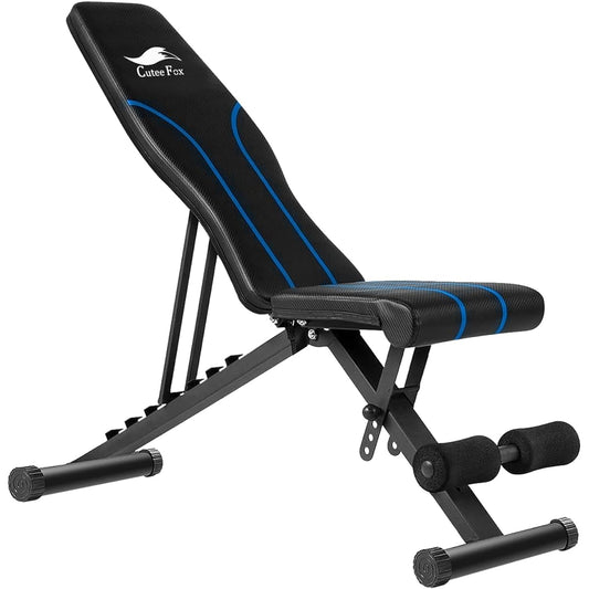 Training Bench, Multi Sit-up Bench, Foldable, Variable, Flat Bench, Easy Angle Adjustment, Abdominal Muscles, Back Muscles, Dumbbell Bench, Convenient Storage CT (CTF-Blue)