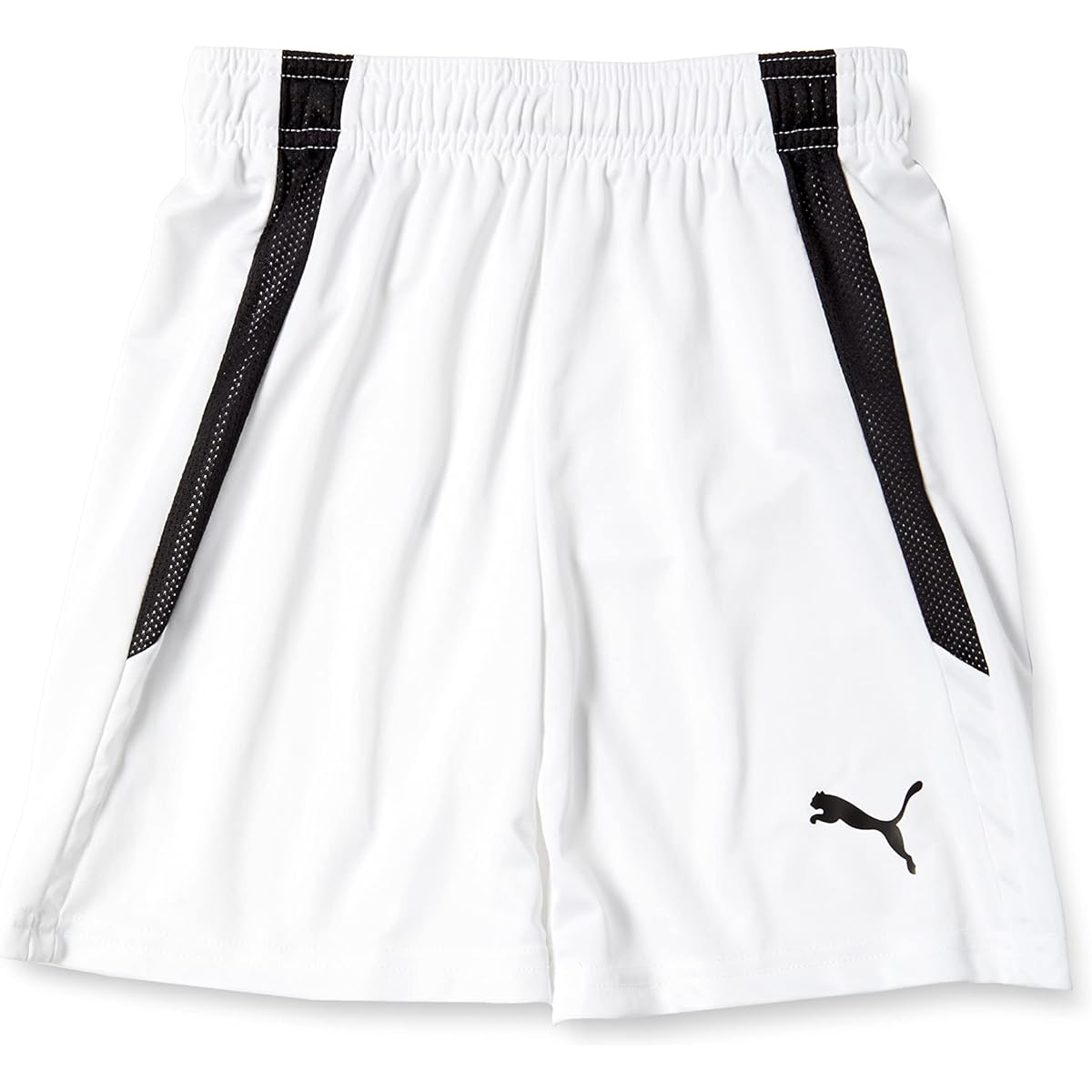 [PUMA] Soccer Absorbent Quick Drying Shorts TEAMLIGA Game Pants JR 705145 Kids
