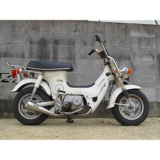 Megaphone Muffler for Shary/Type 2