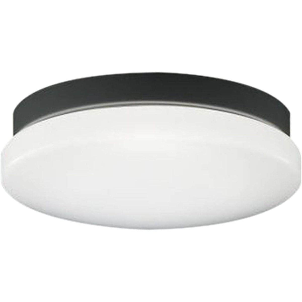 Koizumi Lighting Rainproof/Moisture Proof Eave Ceiling Direct Mount/Wall Mount Equivalent to FCL30W Daylight White Black AU45017L