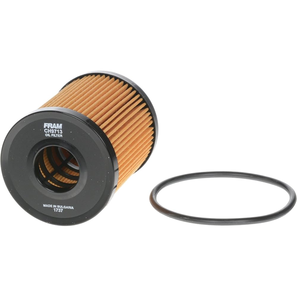 Fram Preliminary Guard CH9713 10K Mile Changed Changing Cartzio Il Filter