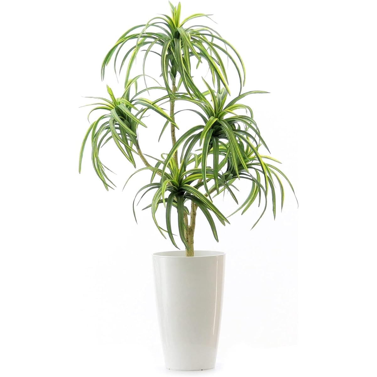 Official | Artificial Flowers.com Premium Photocatalyst Fake Green "Dracaena concinna 5 branches Height 70-80cm Width 40cm Depth 50cm" [With white round pot] 80582