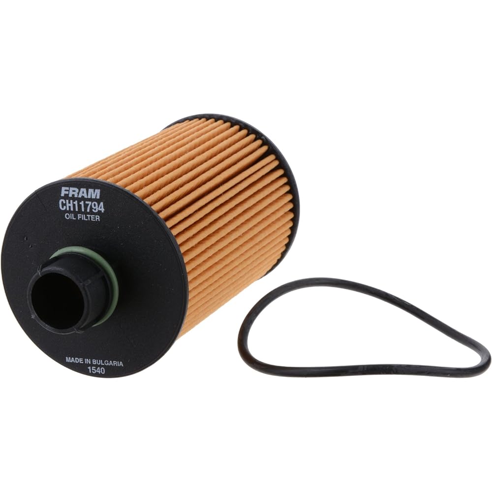 FRAM Extra Guard CH11794 10K Mile Change Arena Filter