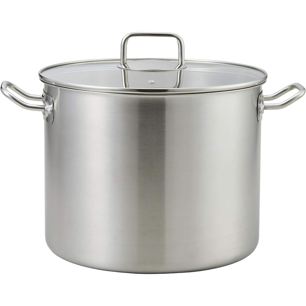 Bestco ND-6348 Satin Pot, 28cm, Echoes, Light, Visible, Stainless Steel, with Glass Lid, IH Compatible