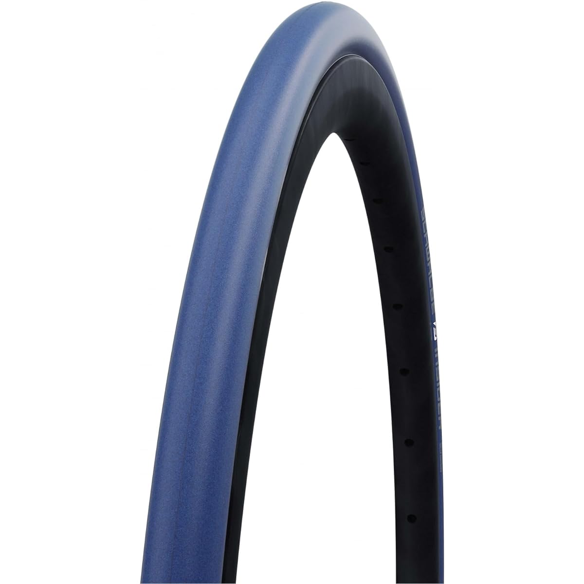SCHWALBE INSIDER 700×23C 310g Roller Training Tire