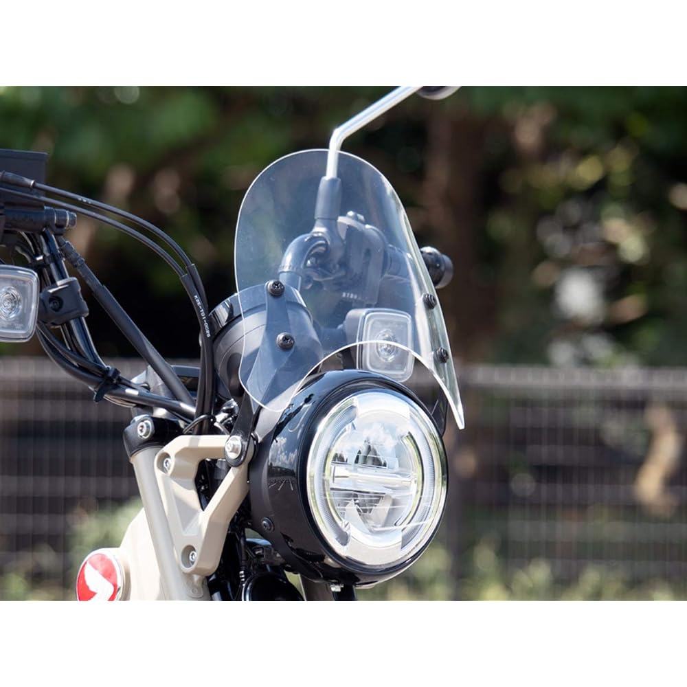 World Walk CT125 Hunter Cub meter visor clear ws-34c