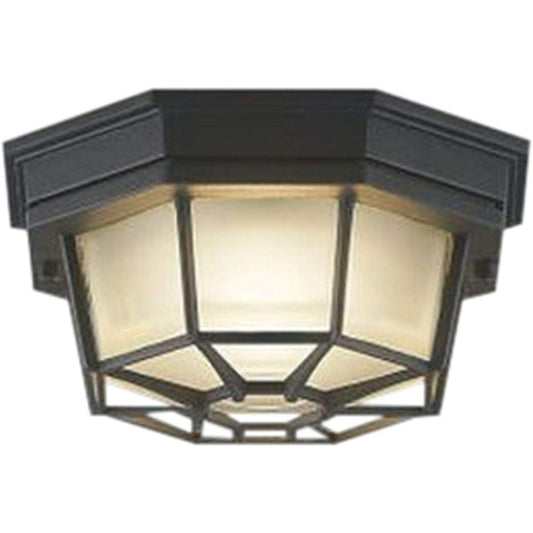 Koizumi Lighting LED eaves ceiling, direct/wall mounted, equivalent to 60W incandescent bulb, bulb color, AU45051L