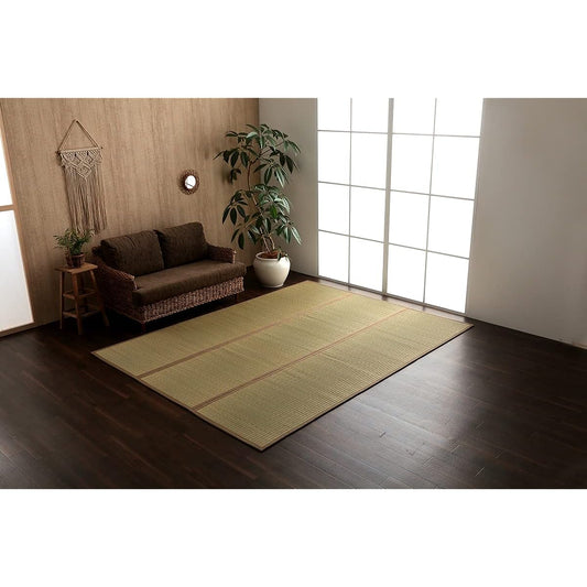 Ikehiko Igusa Rug Carpet Mat Rectangle DX Okinawa Beag Beige Approx. 191 x 250cm Made in Japan Backed Cushion #7608480