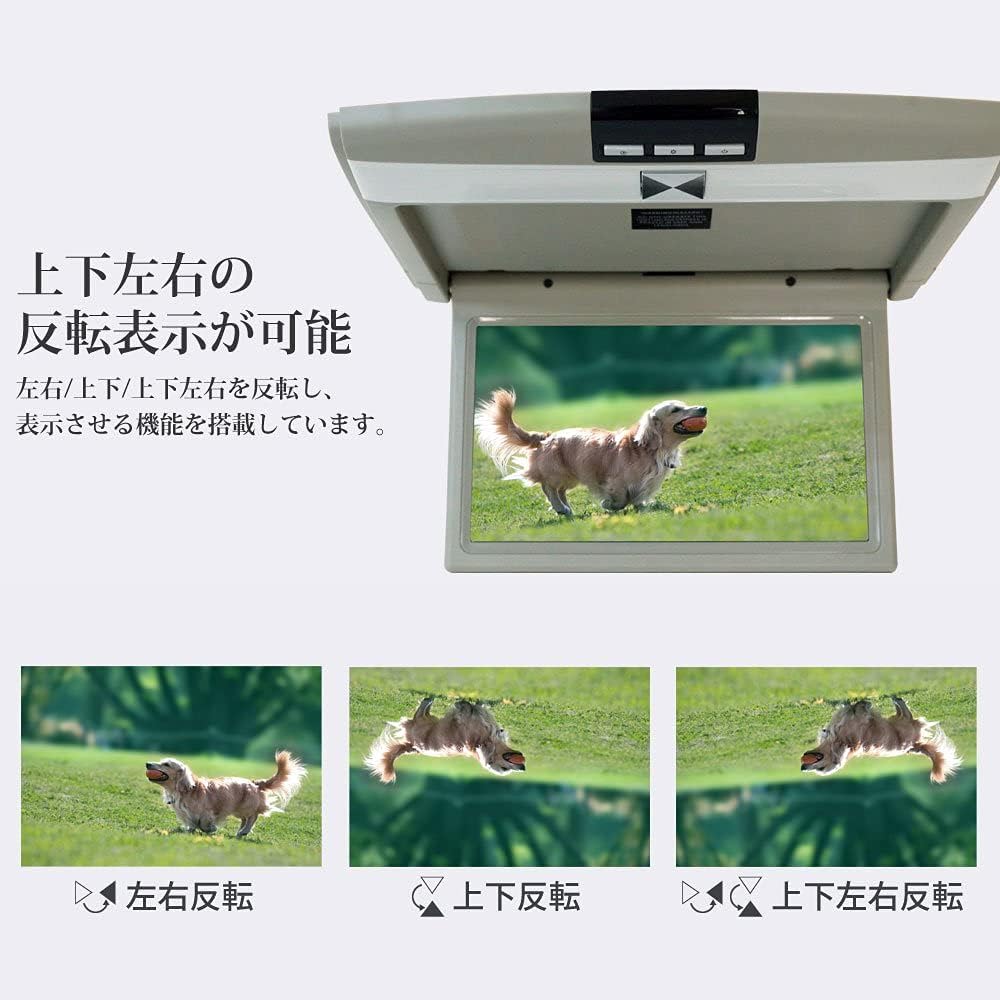 Flip down monitor 10.1 inch WSVGA 1024xRGBx600 LCD panel compatible IR earphone compatible 3 color selection [F1012]