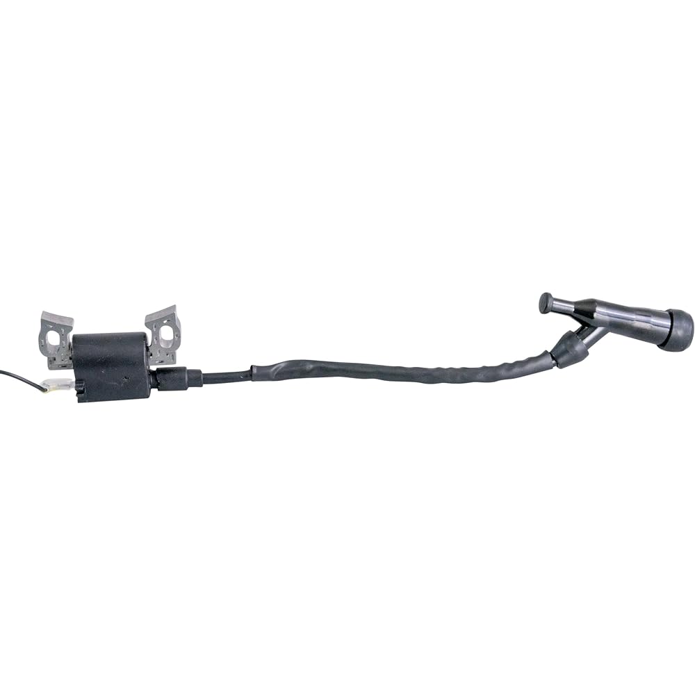 ALVEYTECH Ignition Coil 196CC BAJA HEAT, BAJA Warrior, MINI BAJA ENGINES