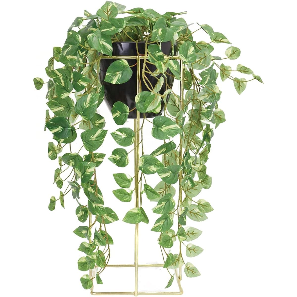 bcl fake green stand pot 60cm pothos