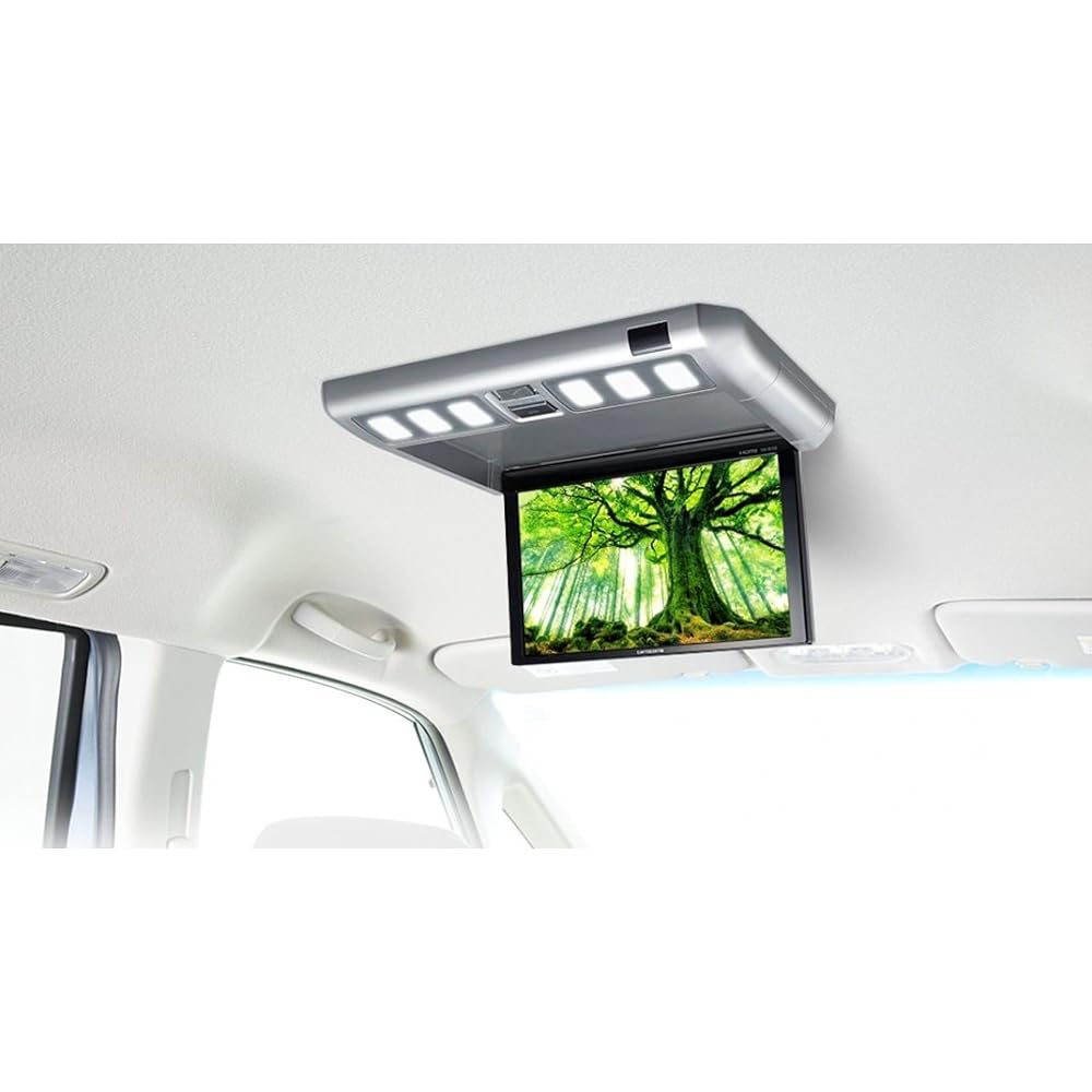 Pioneer Flip Down Monitor TVM-FW1030-S 10.2 inch Silver WVGA Room Lamp Carrozzeria