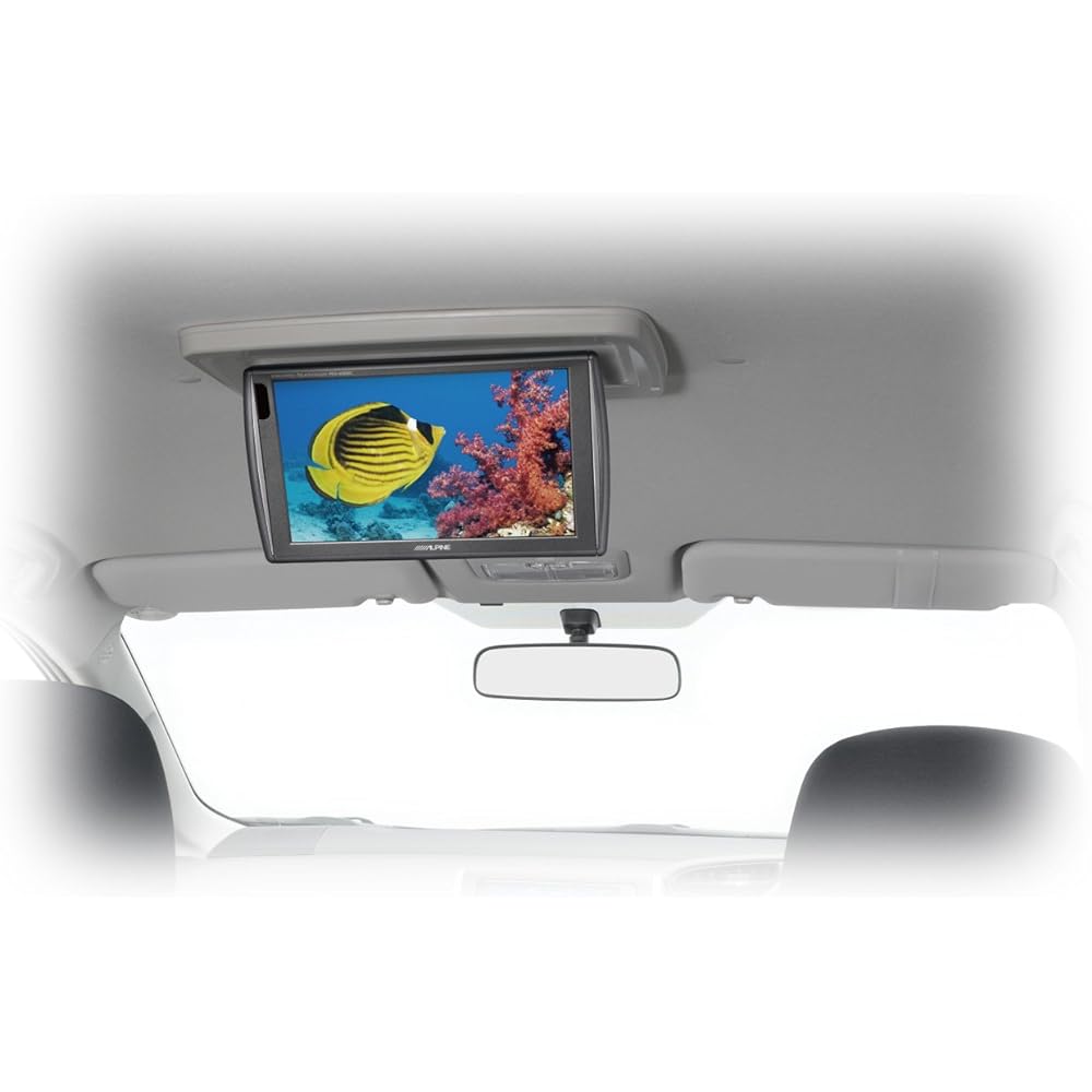 ALPINE Wish exclusive rear vision 9 type WVGA ceiling mount type PKG-M900C-WI