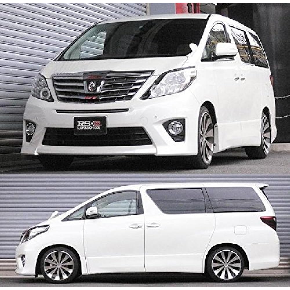 RS-R Down suspension RS★R DOWN Alphard ANH20W [Rear only] T845WR