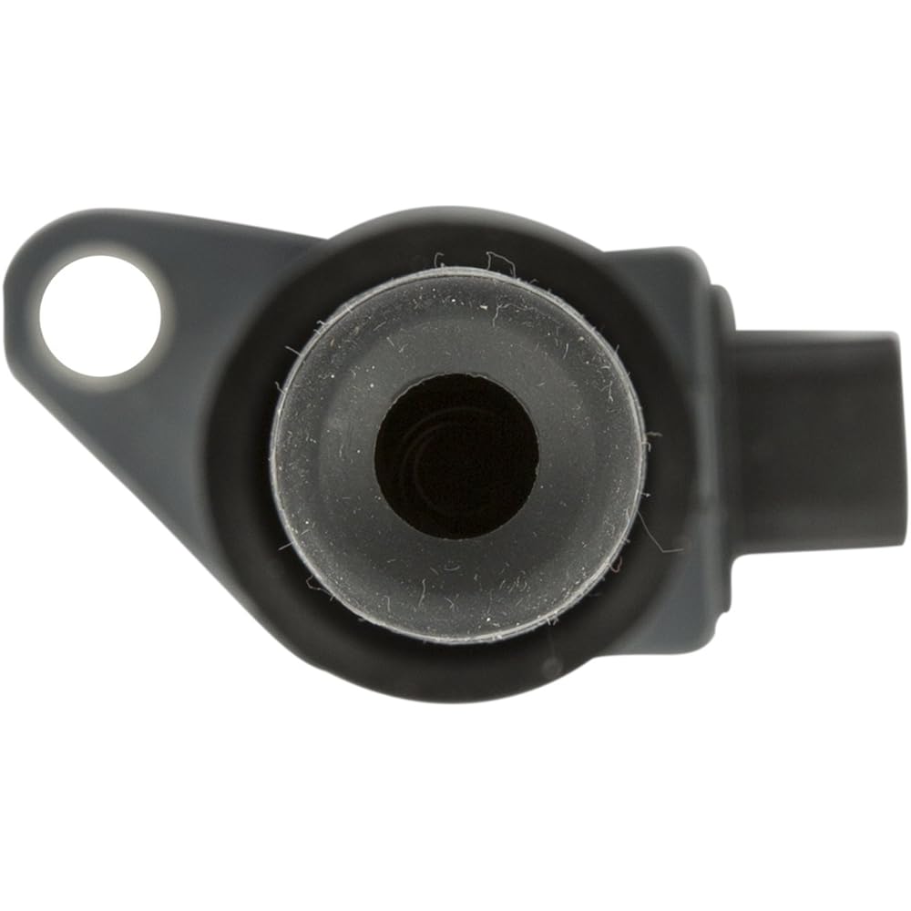 Delphi GN10369 Pencil Luinition Coil