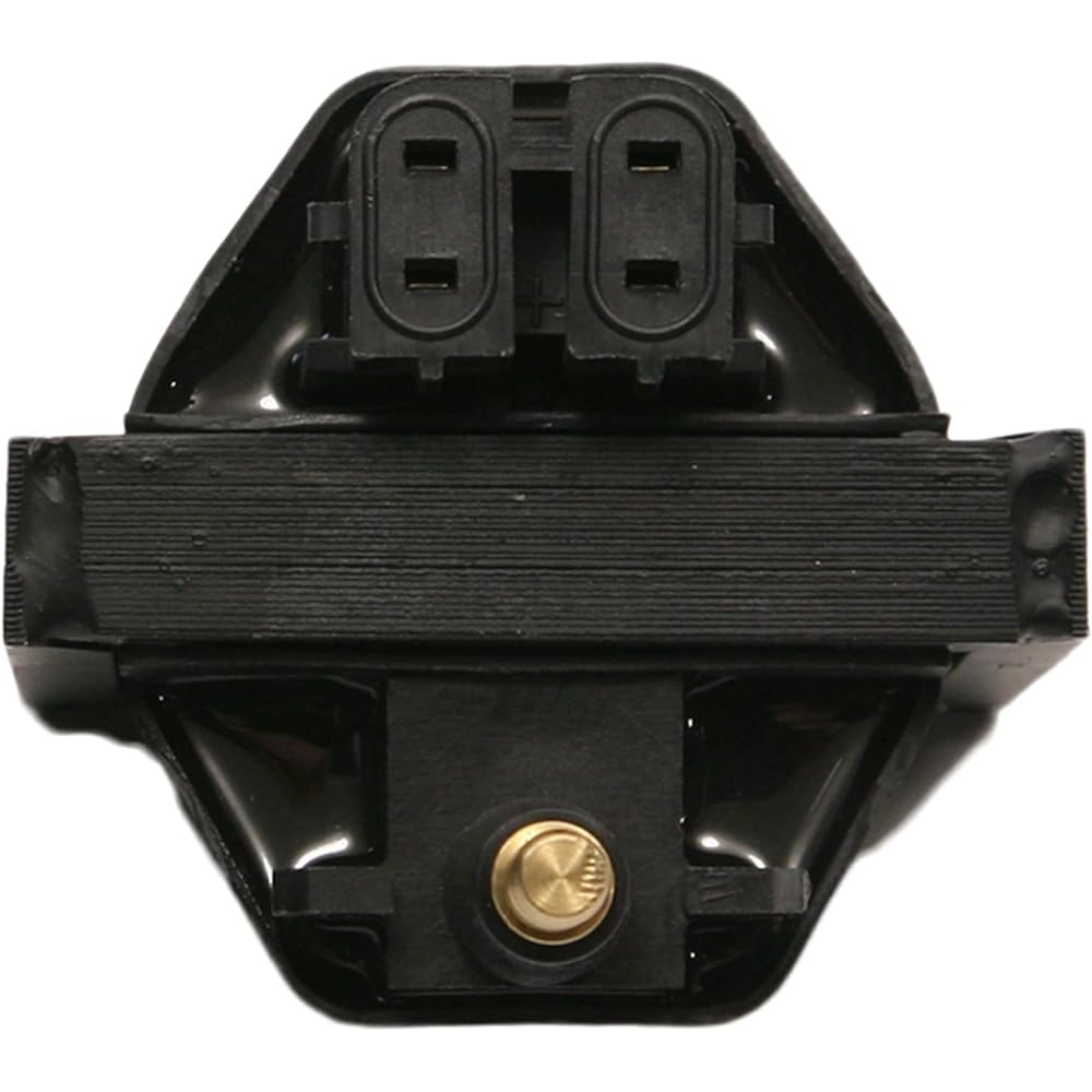 Delphi GN10048 Ignition Coil