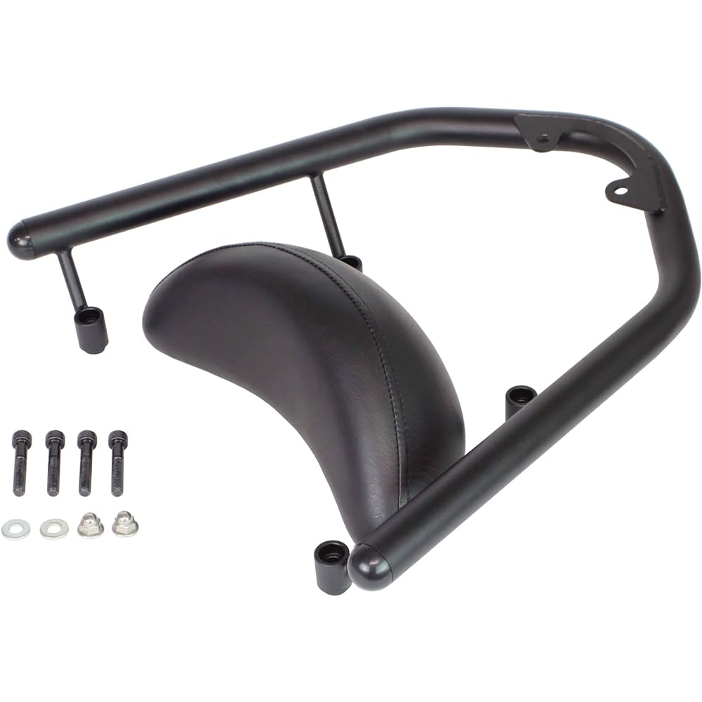 Special parts TAKEGAWA grab bar with large backrest black ADV160(KF54) 09-11-0292