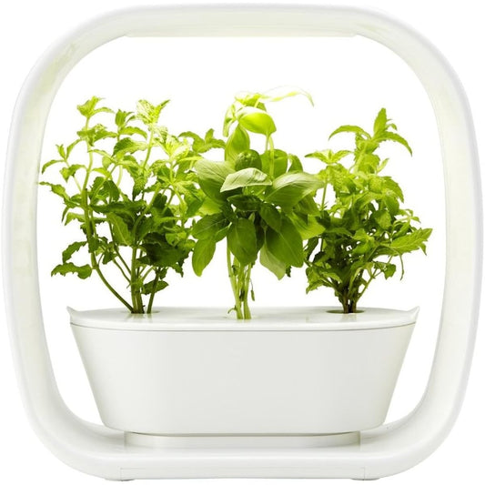 Hydroponic cultivation kit with LED lighting VEGUNI (Veguni) Made in Japan W336 x D150 x H336mm