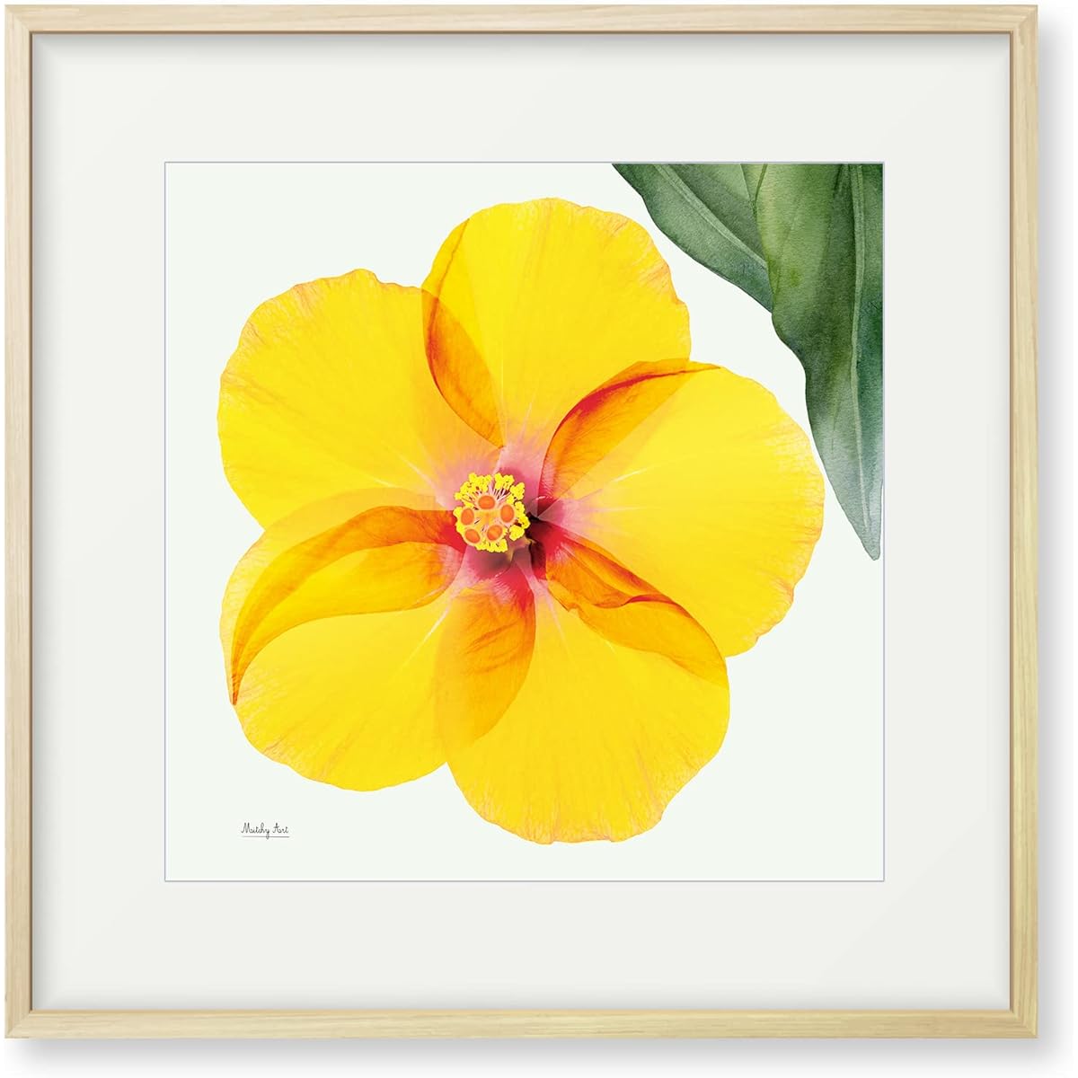 Painting "Hibiscus from Above" Interior Painting Flower Art Panel Framed (H 43cm x Width 43cm)