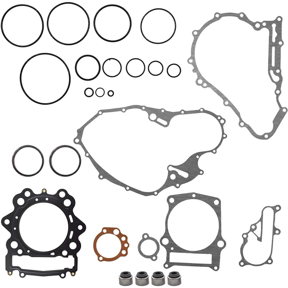 Yamaha Raptor with Lab Work Gasket Collection Valve Seal 700 2006-2014 model