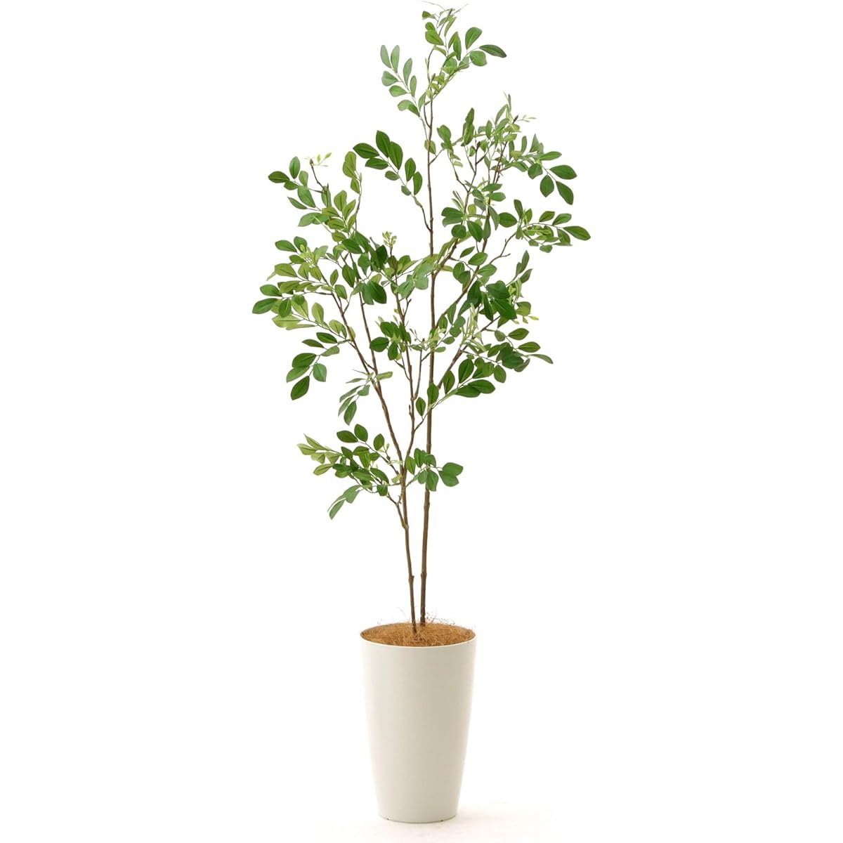 [Official] Artificial Flowers.com Made in Japan Photocatalyst Fake Green "Sima Ash Height 110cm Width 40cm Depth 40cm" 3545