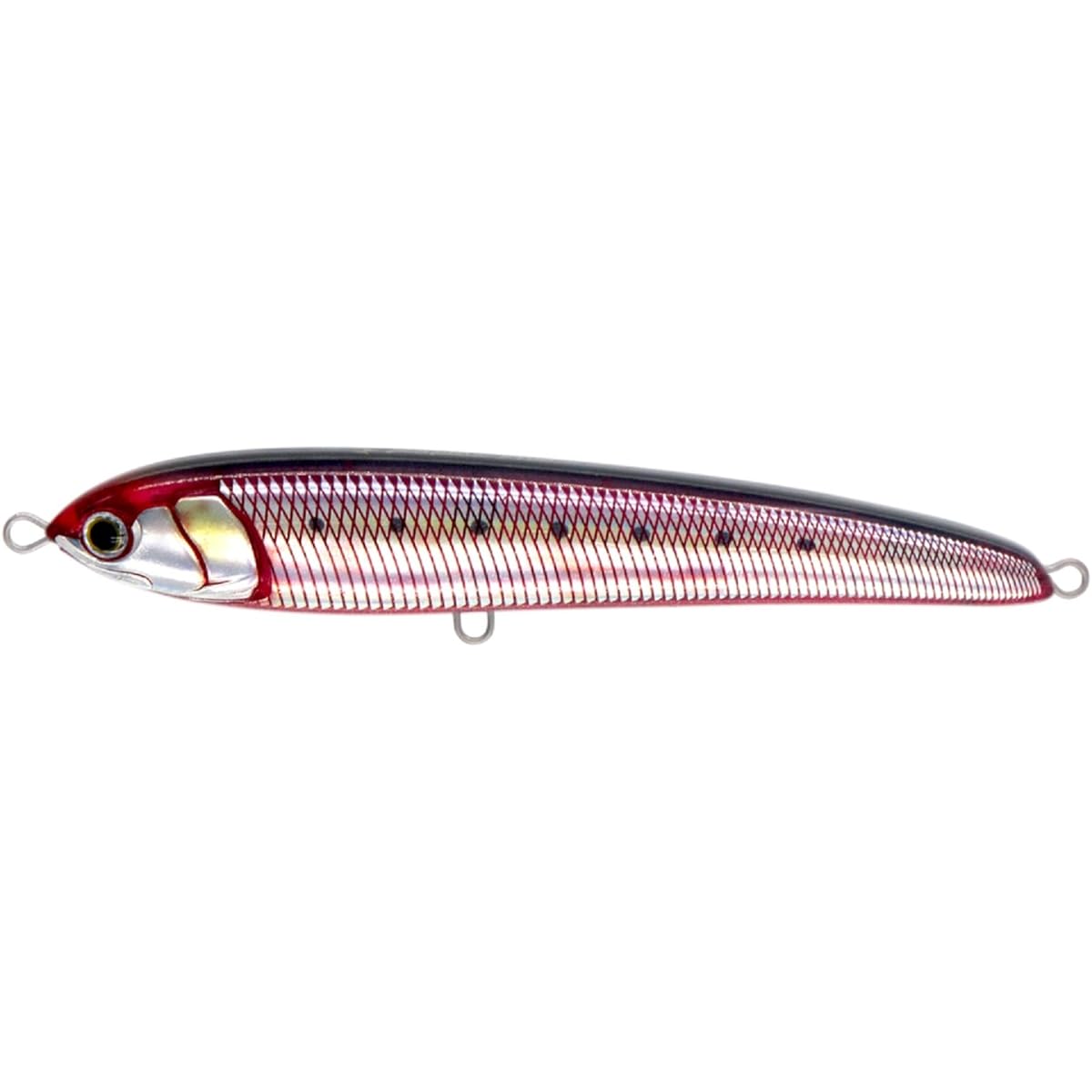 YAMASHITA Lure Rapide