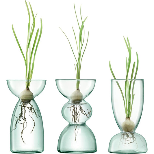 LSA Flower Vase Clear W7xD7xH13cm LSA LCQ07, G1583-00-161