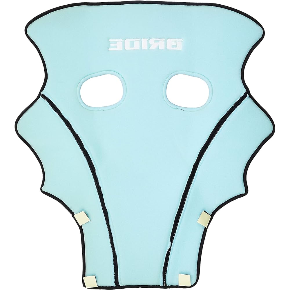 BRIDE K15APO Optional Parts for Seat [Seat Back Protector] K15 Type Black