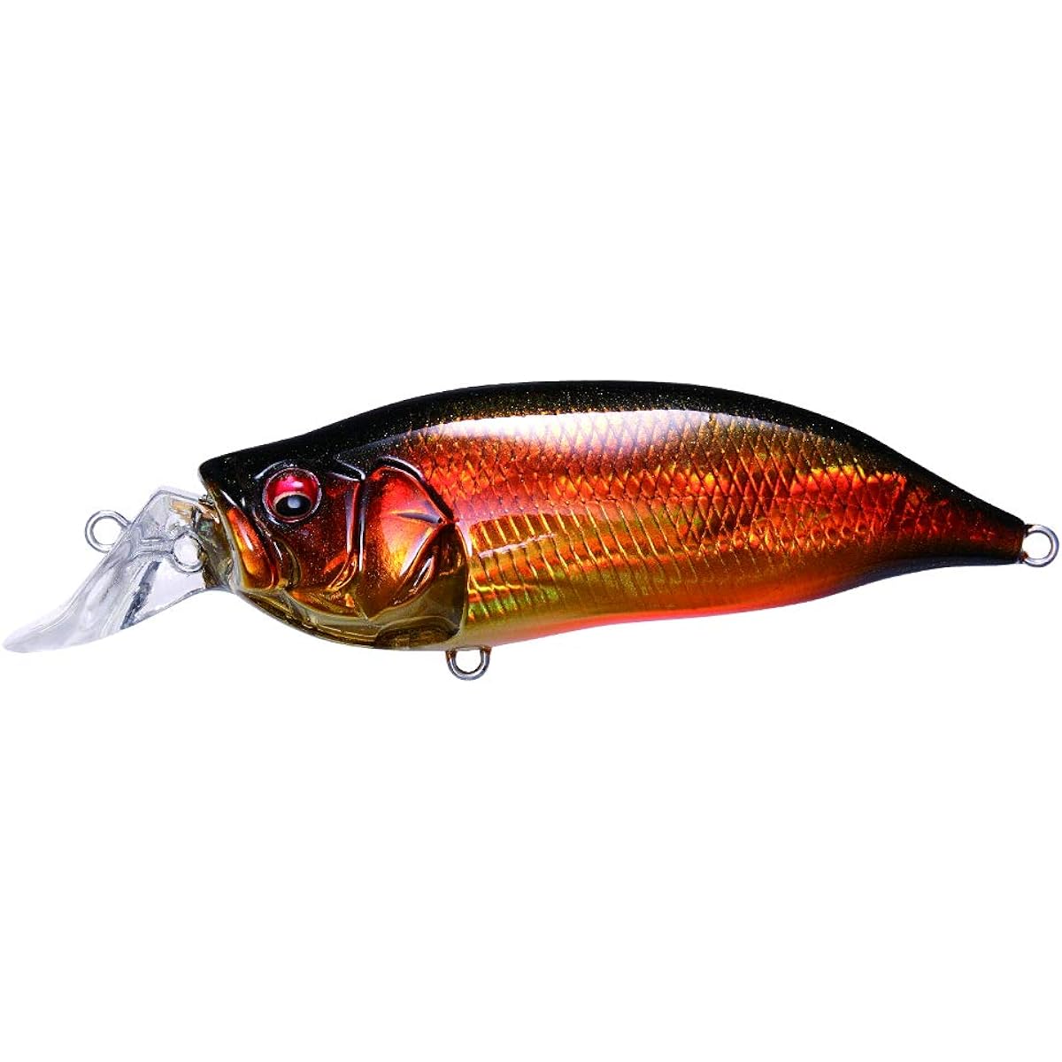Megabass Lure IXI SHAD TYPE-R Kasumi Magic