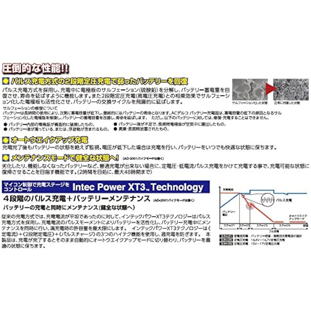 ACDelco Pulse & Microcomputer Control Fully Automatic Battery Charger 6V/12V Common AD-2001